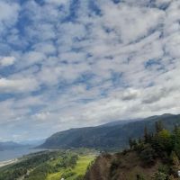 Circle Cedar Court ico