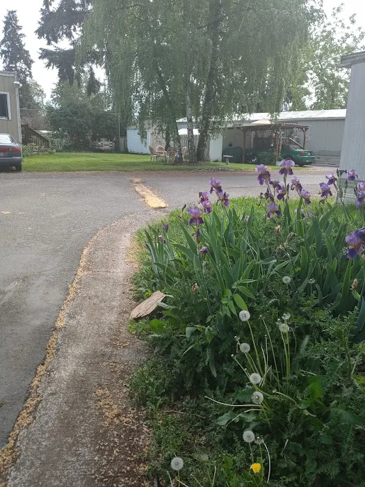 Hidden Village Mobile Home Pk Picture 2