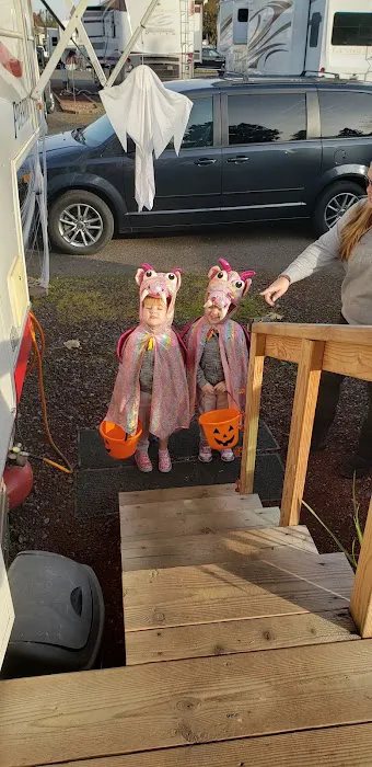 Ninety Nine RV Park Picture 4