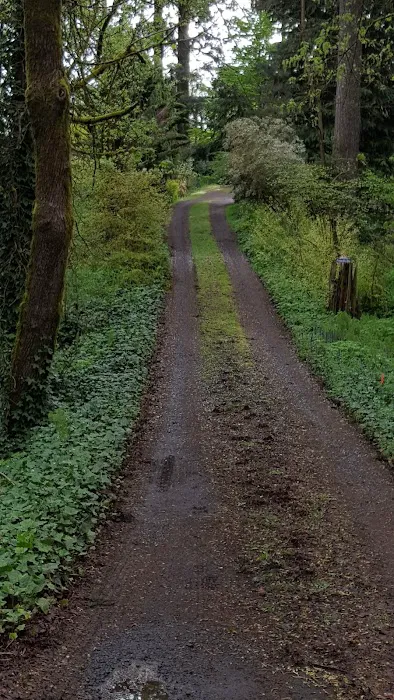 Ninety Nine RV Park Picture 6