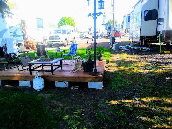 Ninety Nine RV Park Picture 8