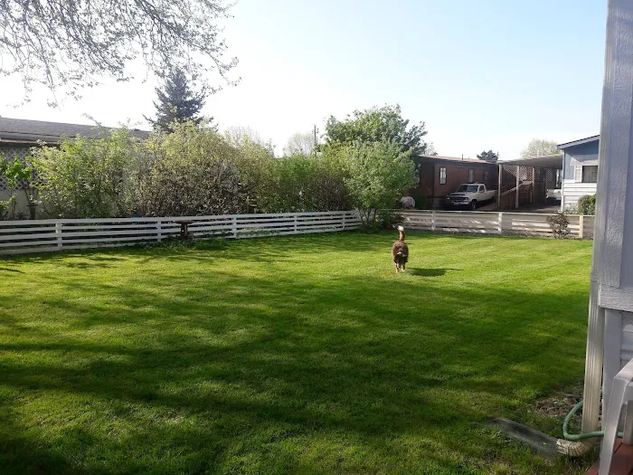 Colony Mobile Home Park Picture 2