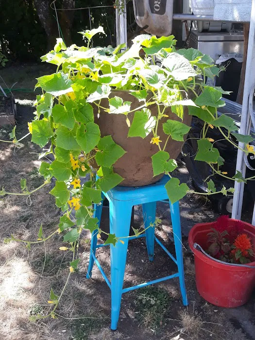 Mobile Retreat Picture 3