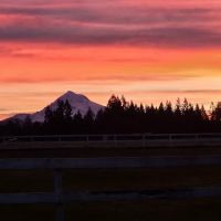 Pioneer Mobile Home Park ico