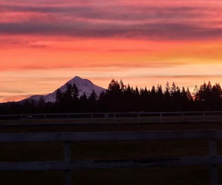 Pioneer Mobile Home Park