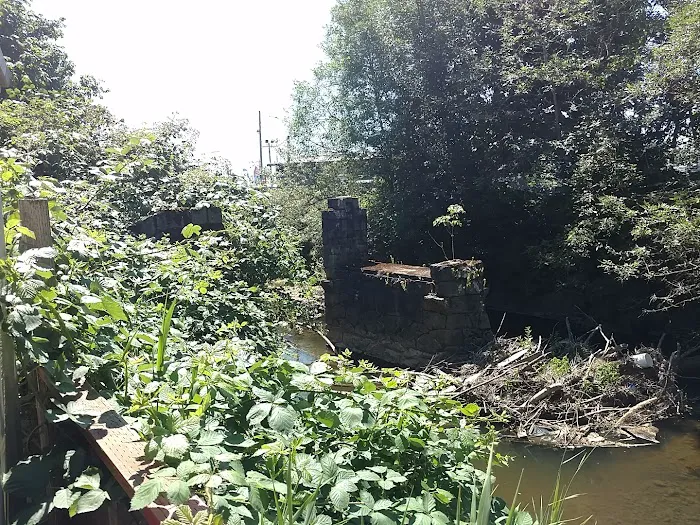 Johnson Creek Trailer Park Picture 5