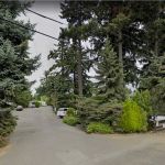 Johnson Creek RV Park