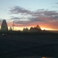 Mini Mobile Park ico