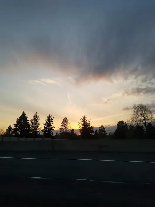 Mini Mobile Park Picture 3