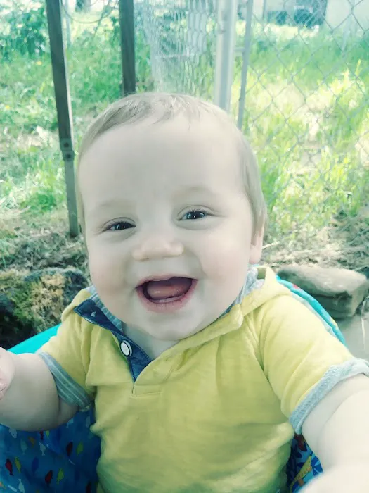 Mini Mobile Park Picture 4