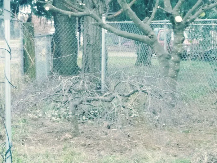 Mini Mobile Park Picture 9