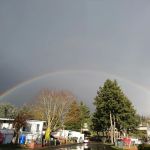 Holly Tree Mobile Home Park