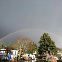 Holly Tree Mobile Home Park ico