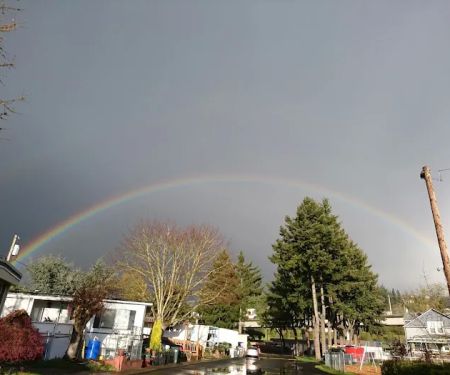 Holly Tree Mobile Home Park