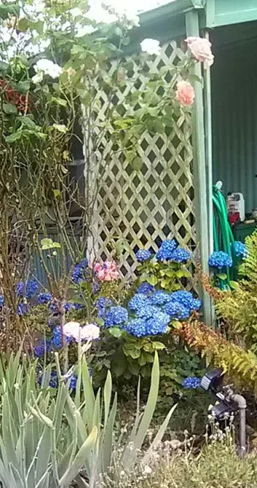 Holly Tree Mobile Home Park Picture 5