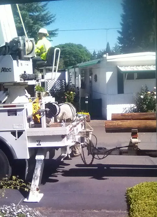 Holly Tree Mobile Home Park Picture 4