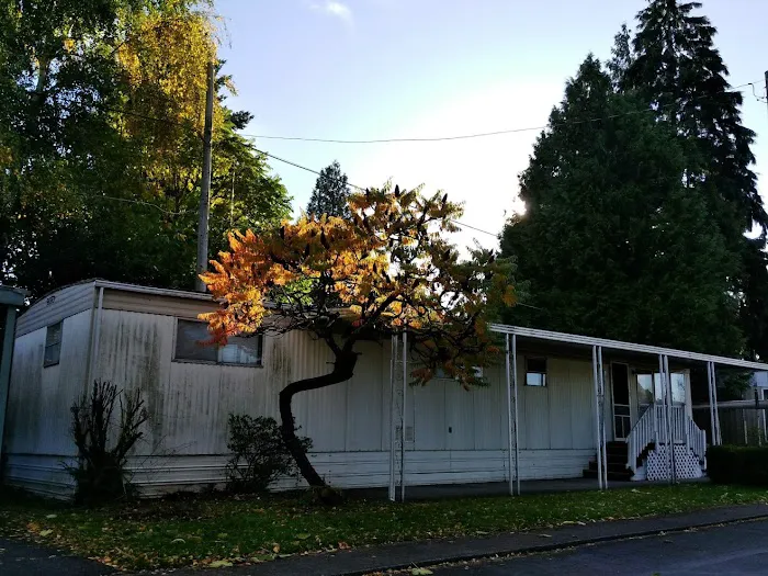 Holly Tree Mobile Home Park Picture 2