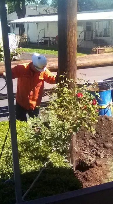 Holly Tree Mobile Home Park Picture 7