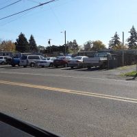 Zeidas Mobile Park ico