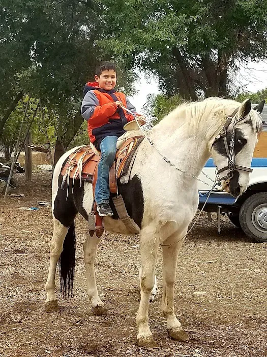 Van Ridge Mobile Home Park Picture 7