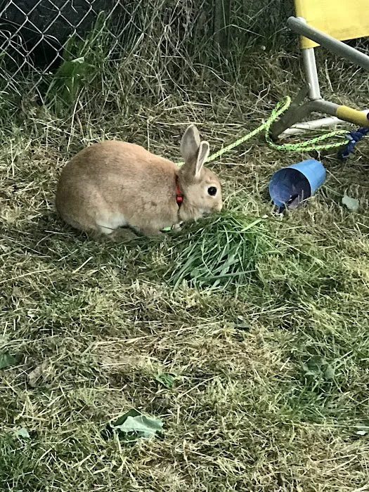 Van Ridge Mobile Home Park Picture 10