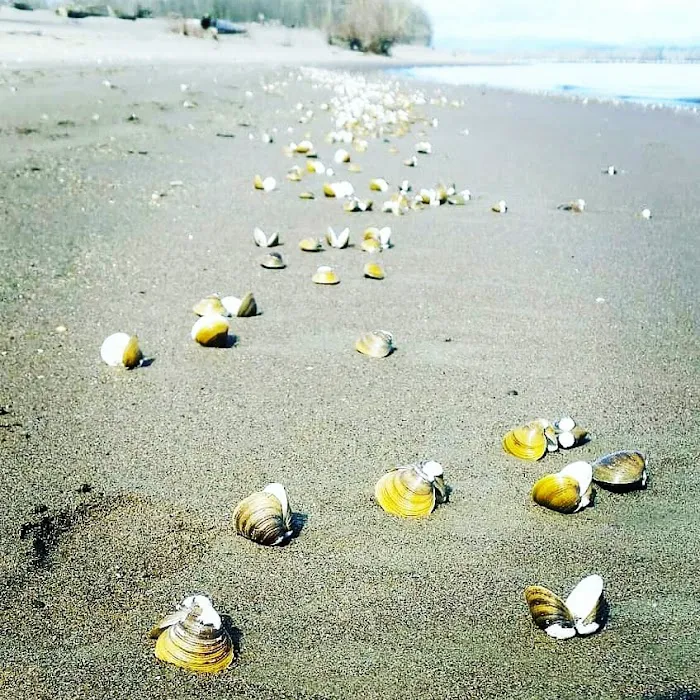 Reeder Beach RV Park & Country Store Picture 7