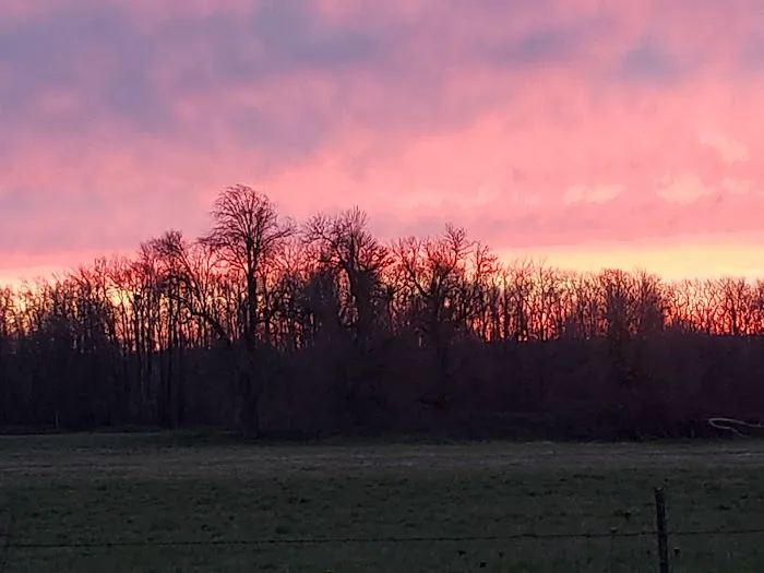 Island Cove RV Park Picture 1