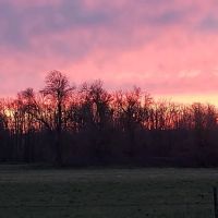 Island Cove RV Park ico