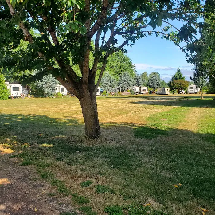 Island Cove RV Park Picture 6