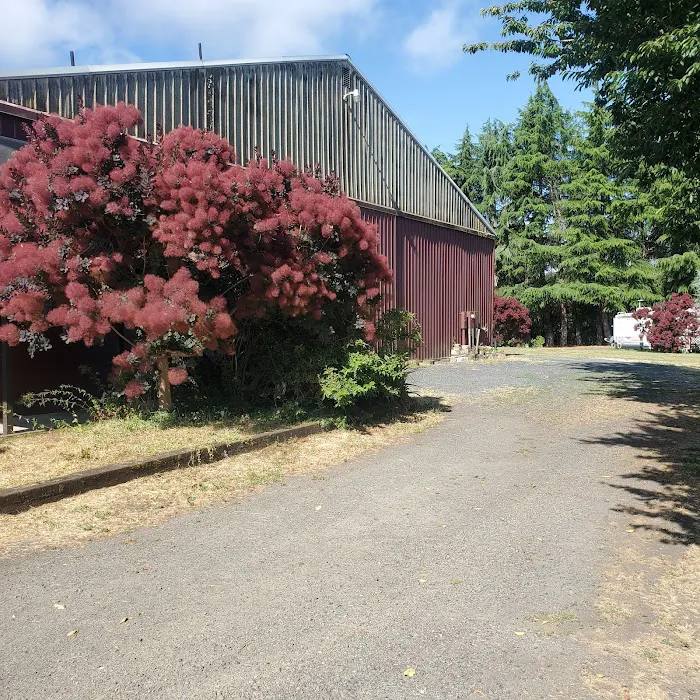 Island Cove RV Park Picture 9