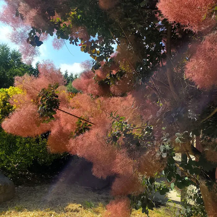 Island Cove RV Park Picture 10