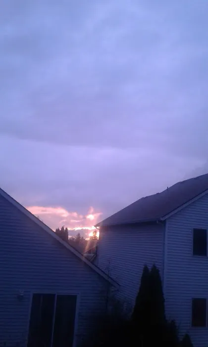 Wunder Mobile Park Picture 3