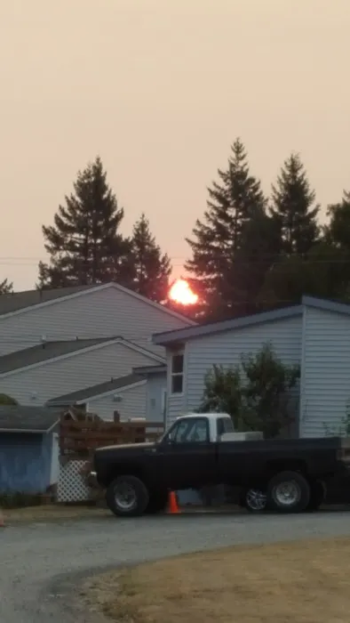 Wunder Mobile Park Picture 1