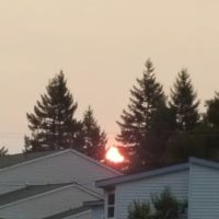 Wunder Mobile Park ico