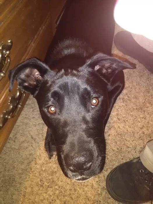 Barlow Trail Estates Picture 4