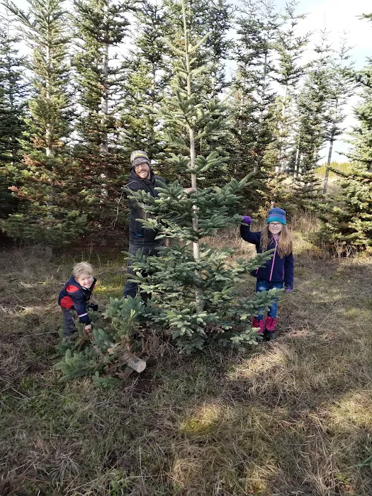 Barlow Trail Estates Picture 6