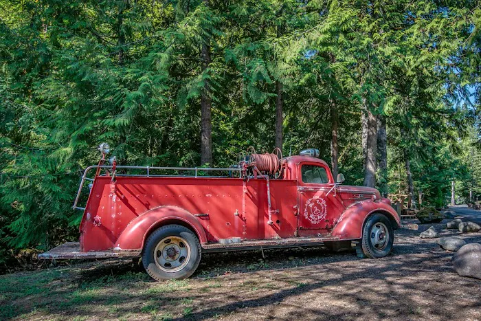 Big Valley Woods Picture 2