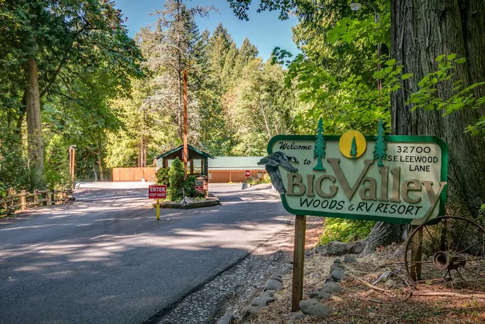 Big Valley Woods Picture 3