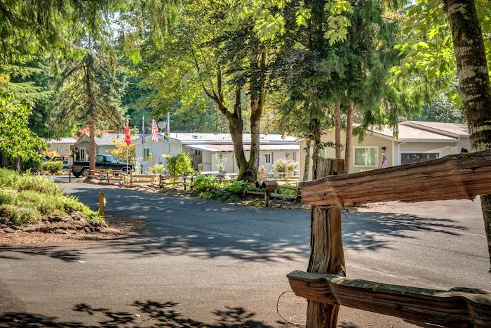 Big Valley Woods Picture 8