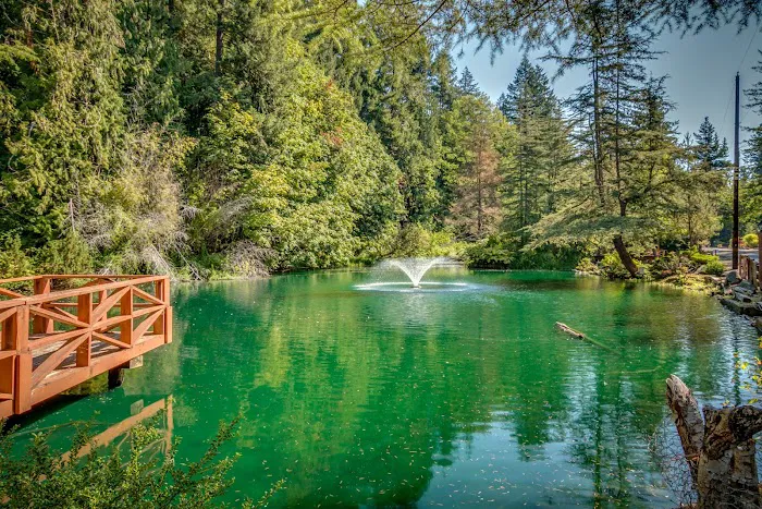 Big Valley Woods Picture 7