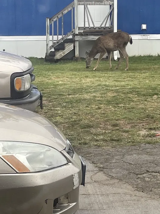 Eagle Creek Mobile Estates Picture 1