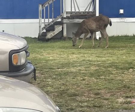 Eagle Creek Mobile Estates