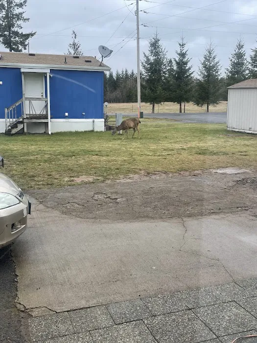 Eagle Creek Mobile Estates Picture 3