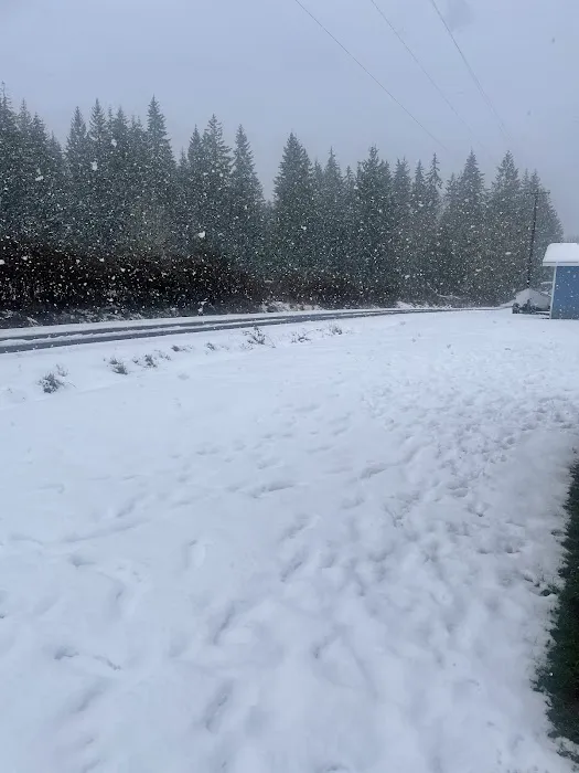 Eagle Creek Mobile Estates Picture 2