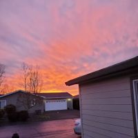 Springlake Community Inc ico