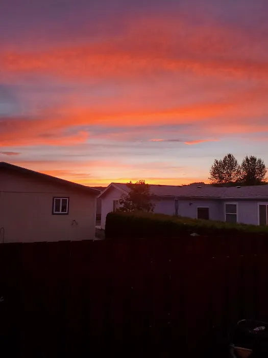 Springlake Community Inc Picture 5