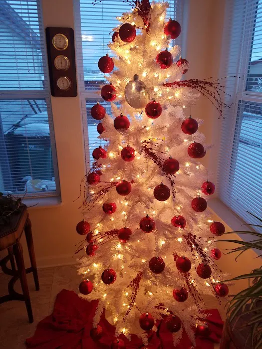 Springlake Community Inc Picture 7