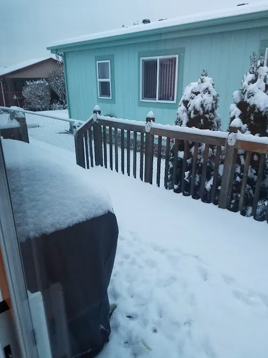 Springlake Community Inc Picture 10