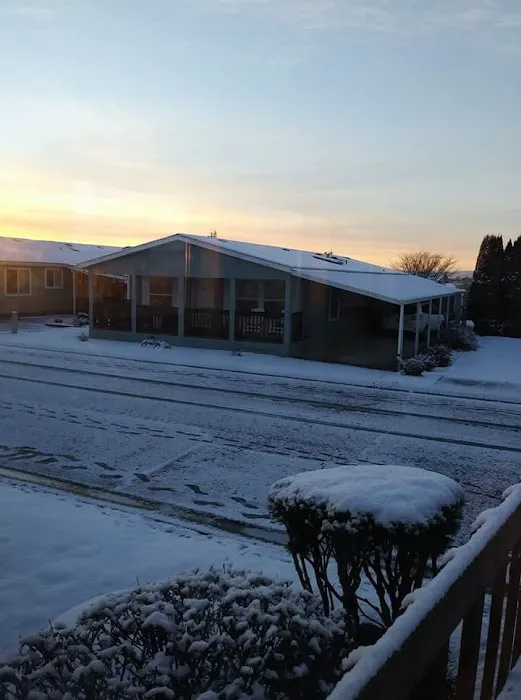 Springlake Community Inc Picture 8