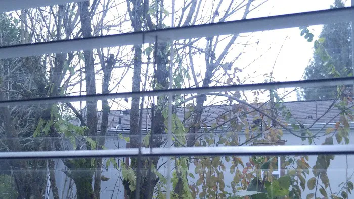 Tamarack Mobile Home Park Picture 2